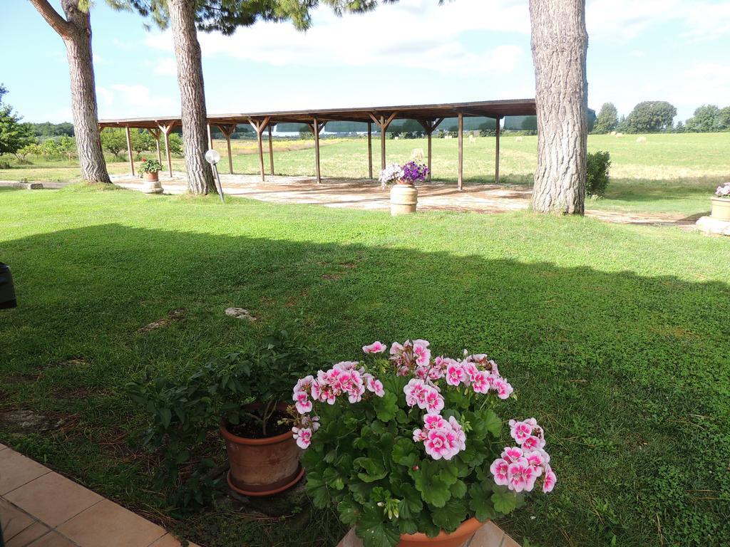 Agriturismo Valle Martina Saturnia Eksteriør bilde